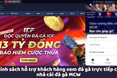 Xem Đá Gà Trực Tiếp – Hấp Dẫn Và Đầy Kịch Tính Tại Web Đá Gà MCW