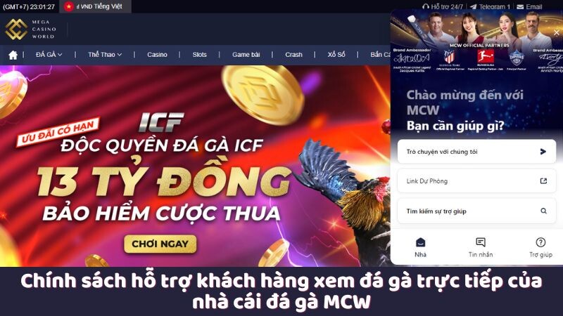 Chính sách hỗ trợ khách hàng xem đá gà trực tiếp của nhà cái đá gà MCW