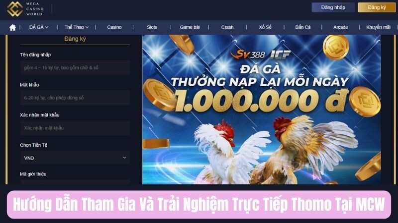 Hướng Dẫn Tham Gia Và Trải Nghiệm Trực Tiếp Thomo Tại MCW